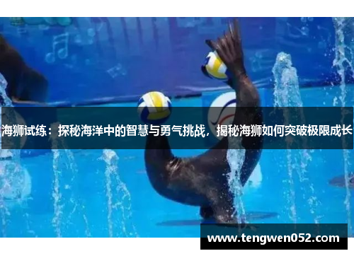 海狮试练：探秘海洋中的智慧与勇气挑战，揭秘海狮如何突破极限成长