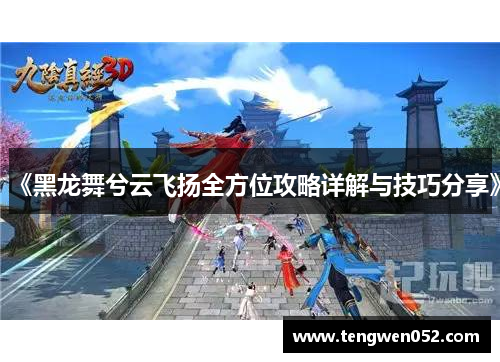 《黑龙舞兮云飞扬全方位攻略详解与技巧分享》