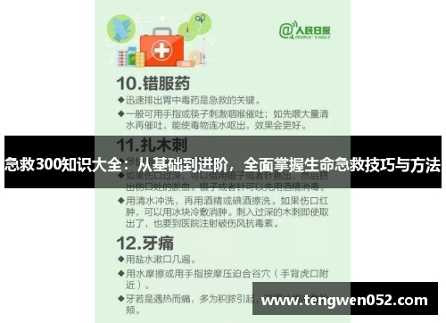 急救300知识大全：从基础到进阶，全面掌握生命急救技巧与方法